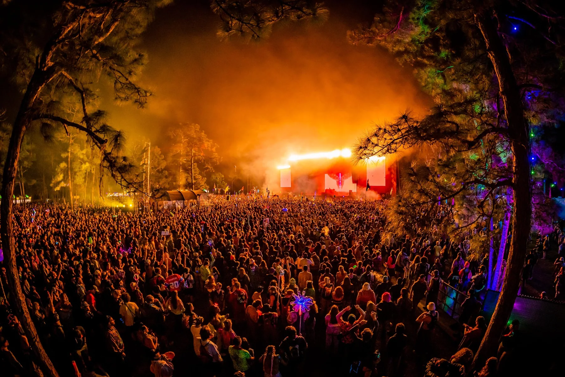 An unforgettable night crowd — festival photograph